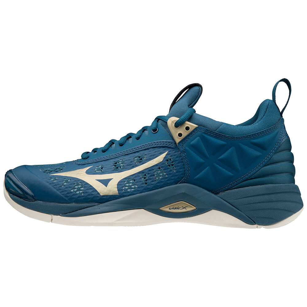 Mizuno Men's Wave Momentum Volleyball Shoes Blue (V1GA191251-IHJ)